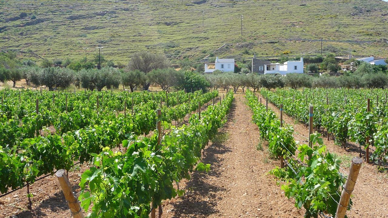 הוילה Korissia  Red Tractor Farm מראה חיצוני תמונה