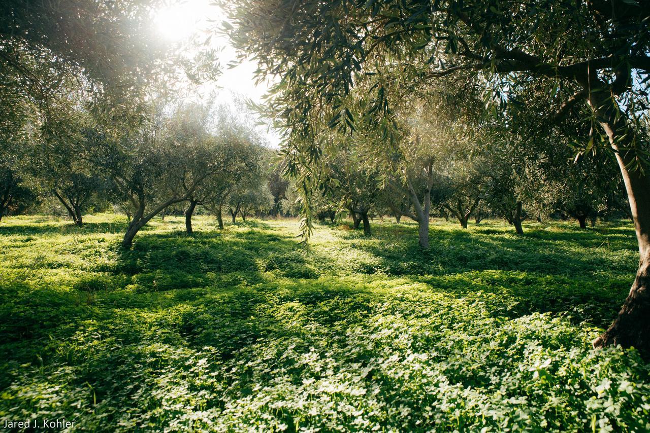 הוילה Korissia  Red Tractor Farm מראה חיצוני תמונה